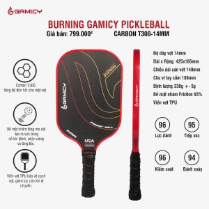 BURNING GAMICY PICKLEBALL